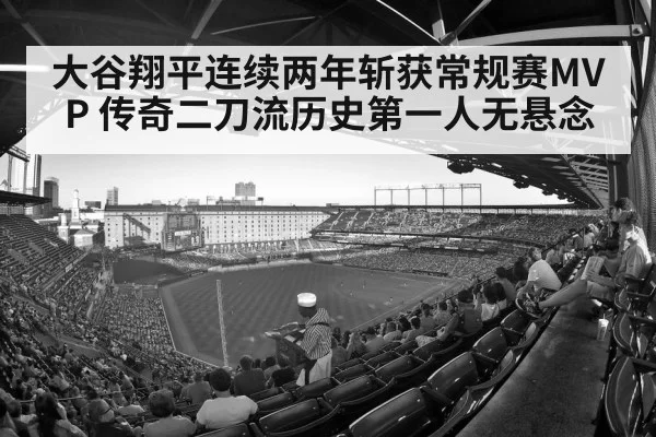 baseball stadium crowd