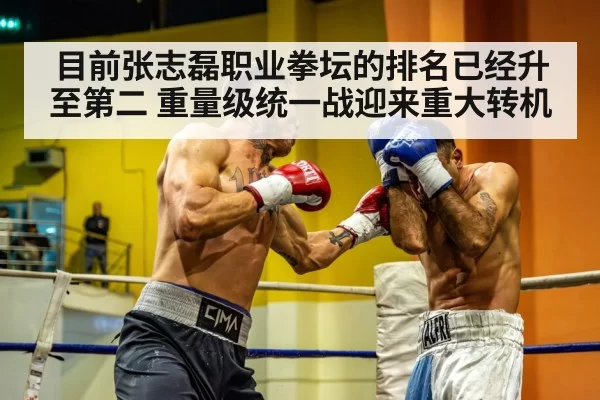 目前张志磊职业拳坛的排名已经升至第二 重量级统一战迎来重大转机